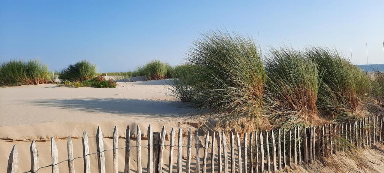 Maison Sur Le Bassin D'Arcachon La Teste-de-Buch Zewnętrze zdjęcie